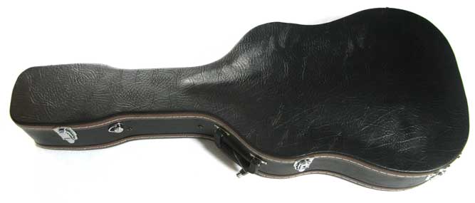 Acoustic Guitar Case