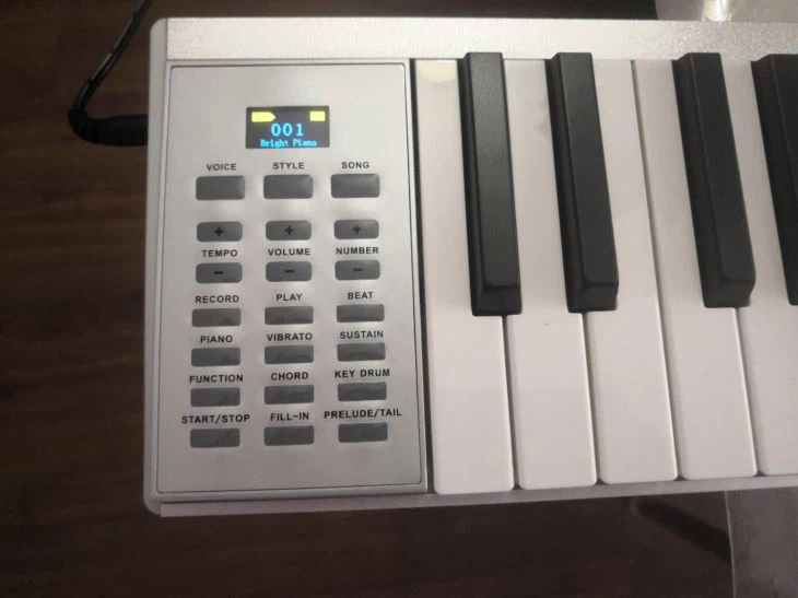 Portable Electronic Keyboard